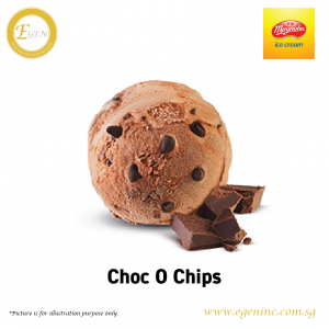Magnolia Ice Cream - Choc O Chips (6L)