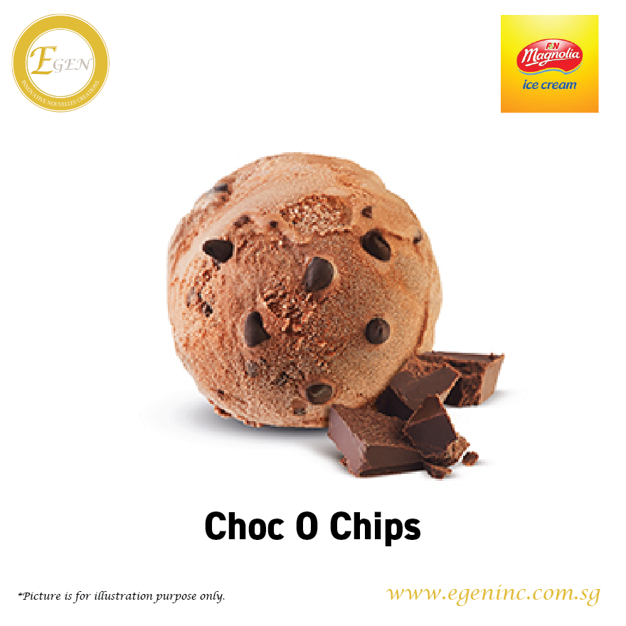 Magnolia Ice Cream - Choc O Chips (6L)