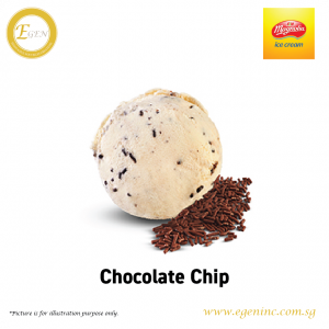 Magnolia Ice Cream - Chocolate Chip (6L)