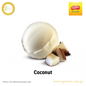 Magnolia Ice Cream - Coconut (6L)