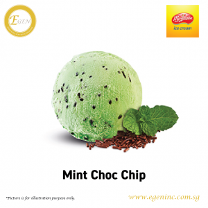 Magnolia Ice Cream - Mint Choc Chip (6L)