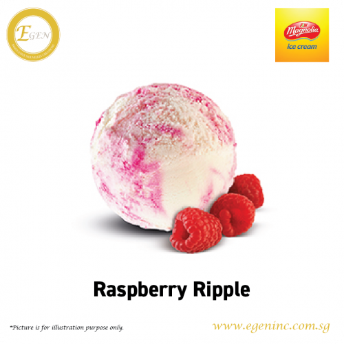 Magnolia Ice Cream -  Raspberry Ripple (6L)