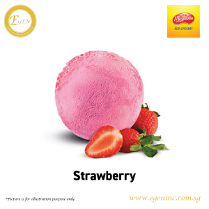 Magnolia Ice Cream - Strawberry (6L)