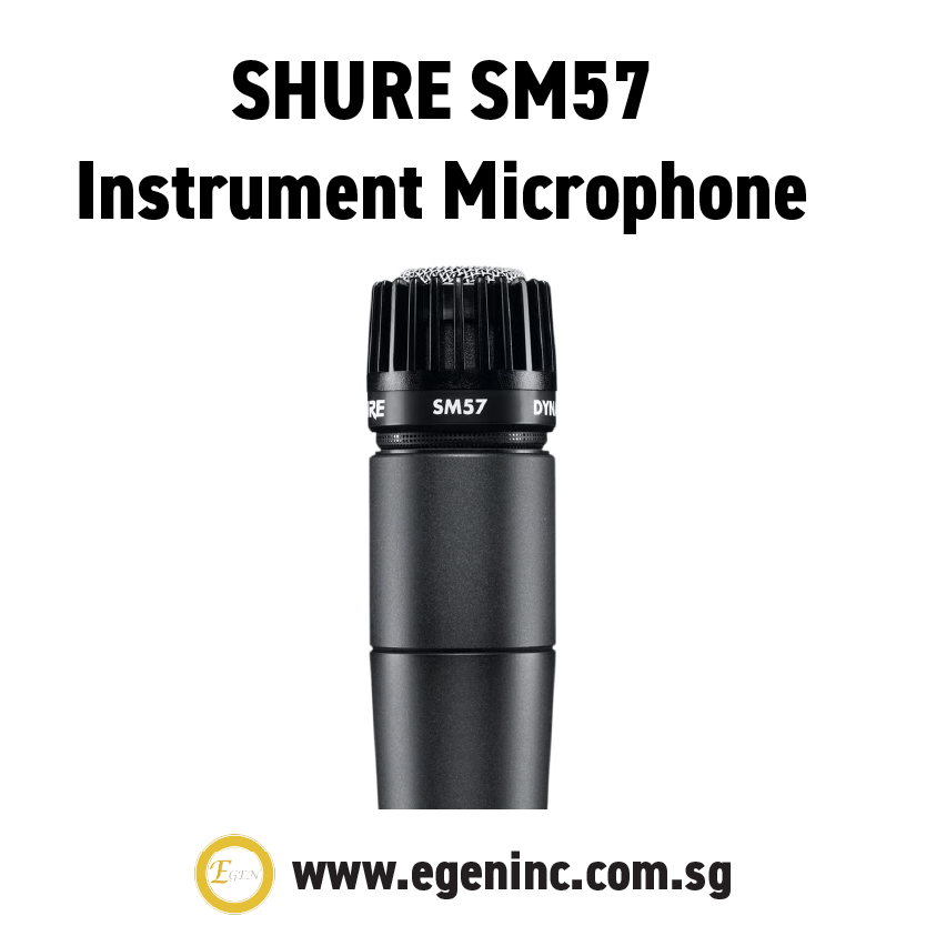 SHURE SM57 Instrument - Image 2